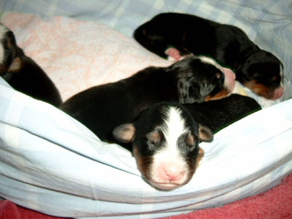 Bild0904kleiner