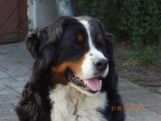 Cleo 12102