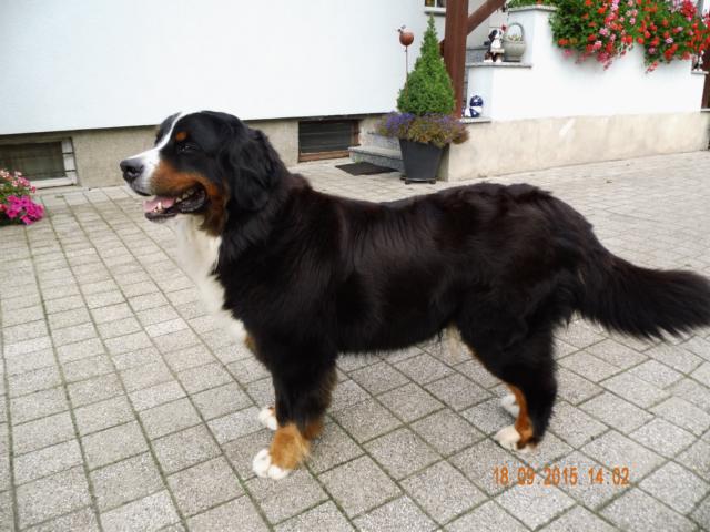 E-Wurf 05602
