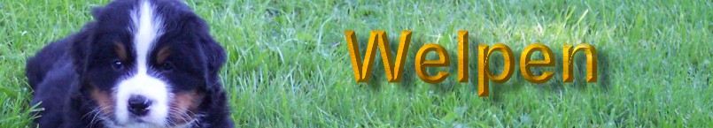MamaBannerWelpen03