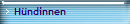 H�ndinnen