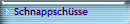 Schnappsch�sse