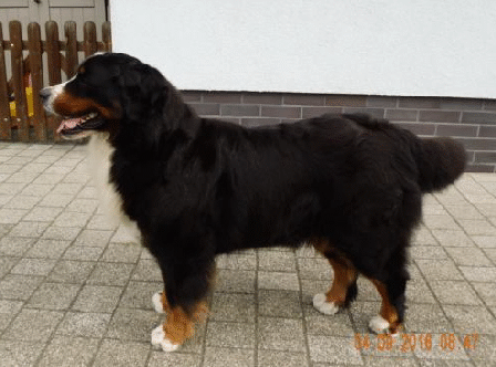 Cleo 06202