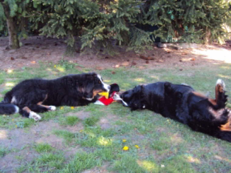Akira links, Yule rechts.