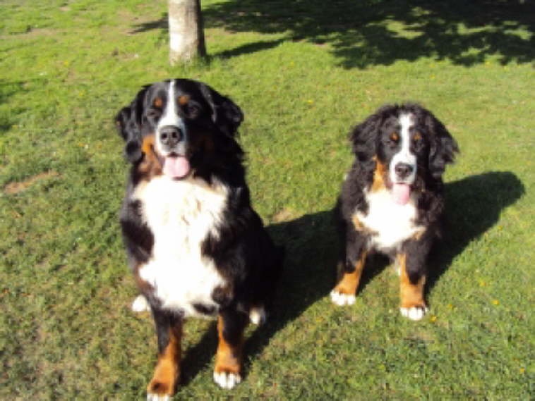 Links Yule, rechts Akira.