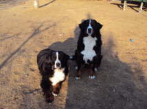 Vilou und ihre Tochter Yule.