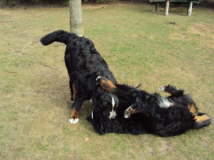 Akira und Vilou