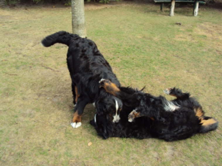 Akira und Vilou