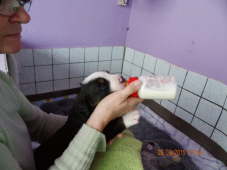 Erstmal etwas Milch aus der Flasche.