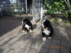 Rechts Elvis und links Eros.